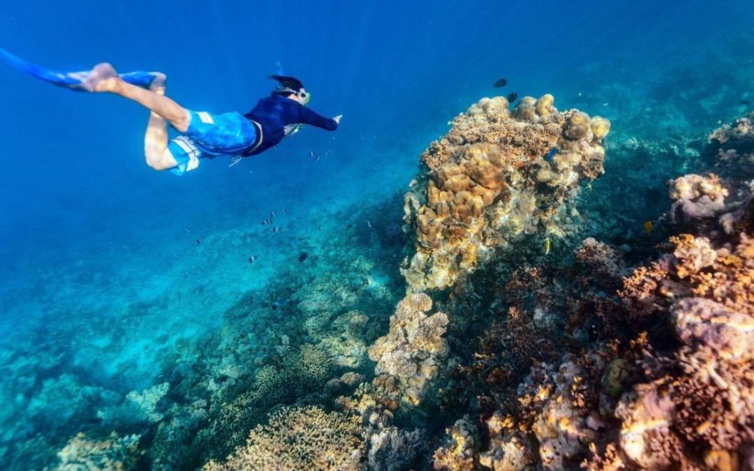 Buceo y Descanso en la Costa Calida