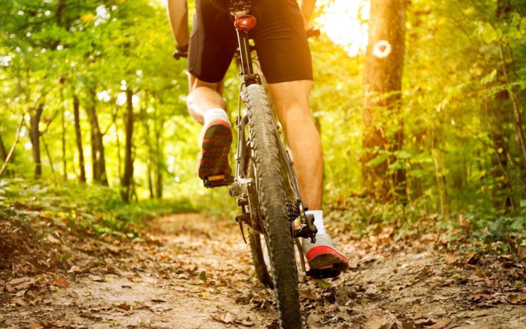 Bike en la Sierra: Naturaleza, Hotel y Costa Cálida