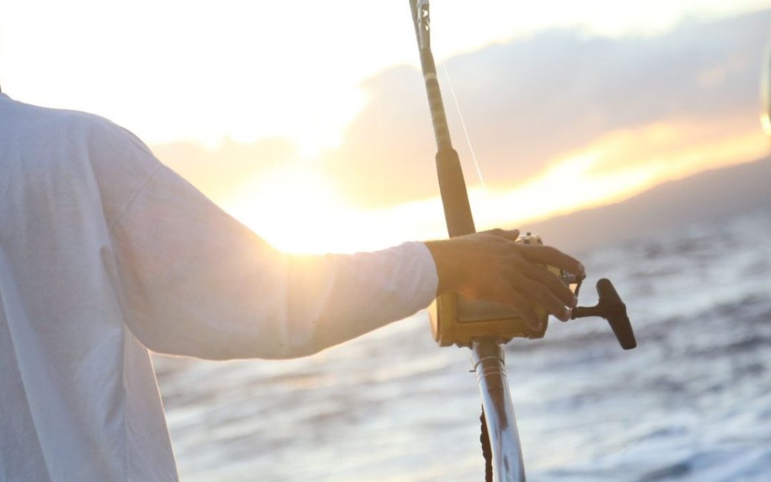 Pesca, Baño y Relax en la Costa Cálida de Murcia