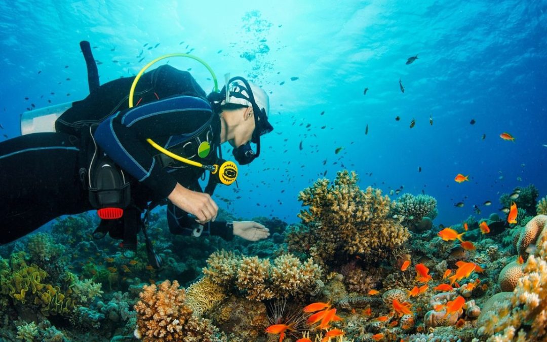 Bautismo de buceo Cabo de Palos