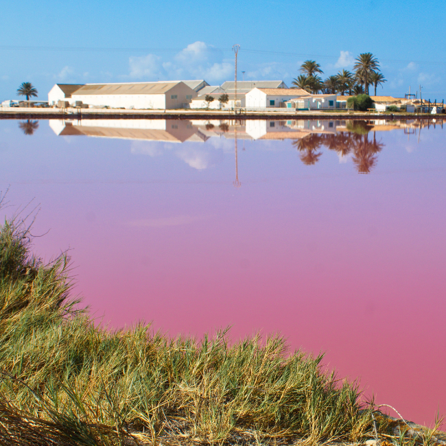 Costa Calida Experience - Salinas San Pedro del Pinatar