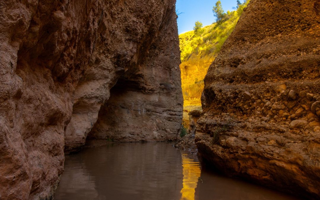 Río Chícamo “El Cañón en el Oasis de Al’Banyala”