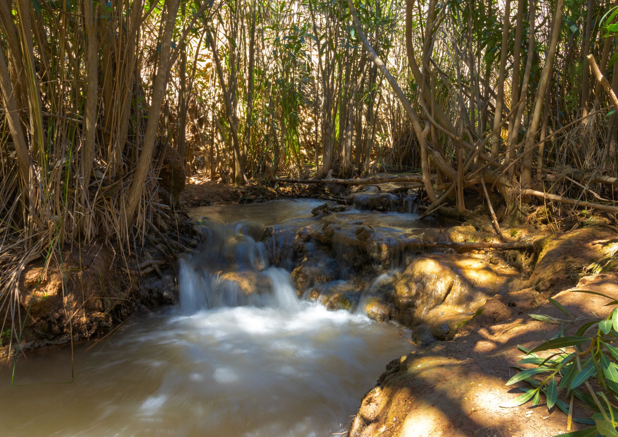 Rafting y Cuevas en la Costa Calida, Region de Murcia