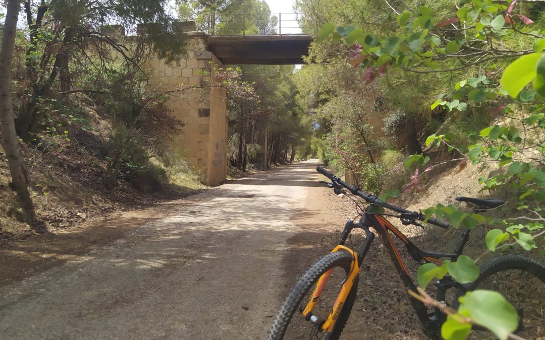 Ruta en bicicleta guiada Mula