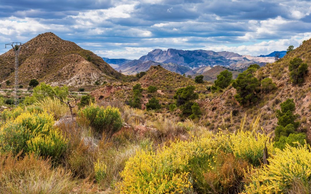 Ruta en bicicleta guiada Murcia