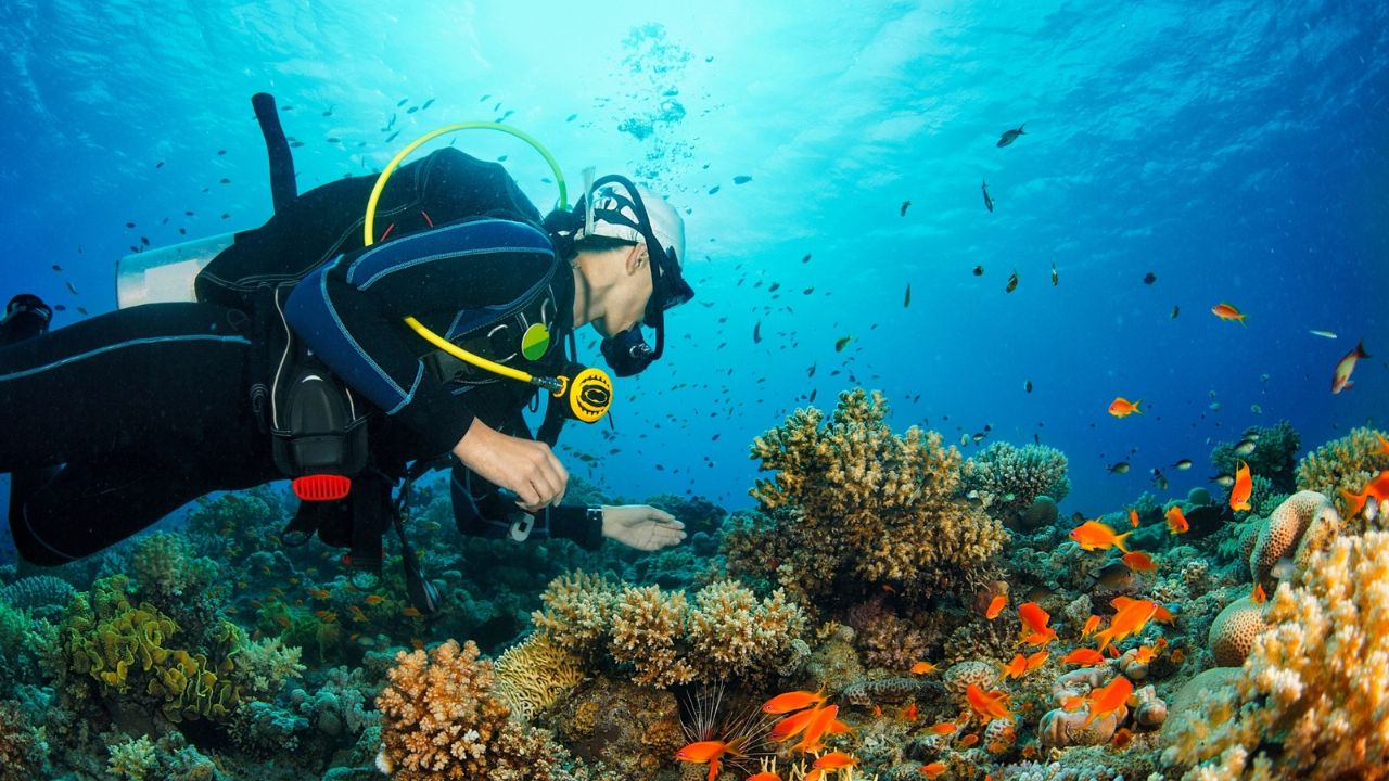 Buceo en Costa Cálida