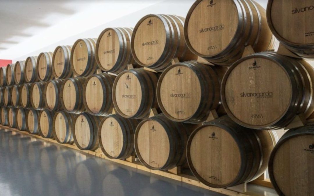 Enoturismo en la Región de Murcia: una experiencia que une vino, paisaje y cultura