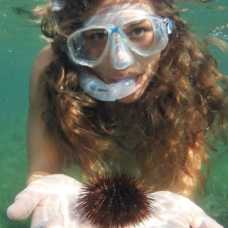 buceo en Murcia buceo en Murcia