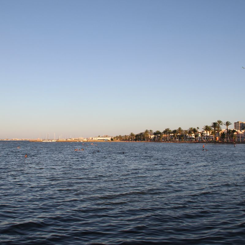 Qué ver y qué hacer en el Mar Menor Qué ver y qué hacer en el Mar Menor